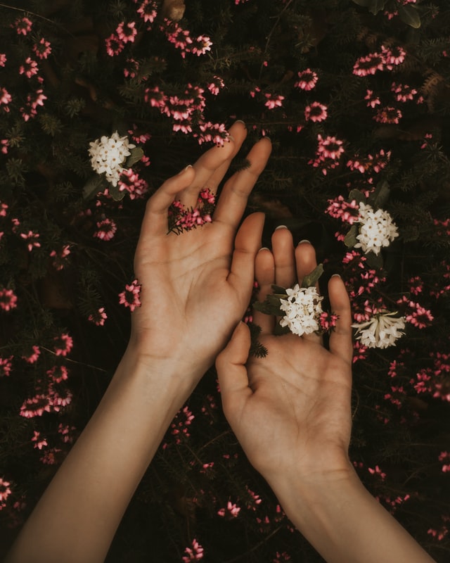 Hands resting in wildflowers